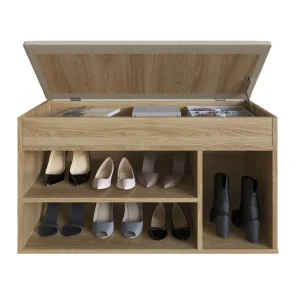 baúl con zapatera, zapatera moderna, baúl para zapatos, mueble organizador, zapatera con estantes, baúl con pies de plástico, mueble funcional, almacenamiento de zapatos, baúl de diseño moderno.