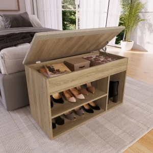 baúl con zapatera, zapatera moderna, baúl para zapatos, mueble organizador, zapatera con estantes, baúl con pies de plástico, mueble funcional, almacenamiento de zapatos, baúl de diseño moderno.
